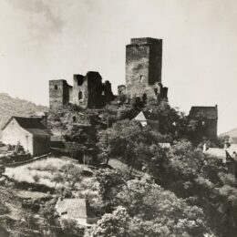 Chroniques de sauvegarde